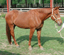 Cadbury