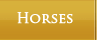 Tally Ho Horses