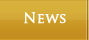 Tally Ho News Button