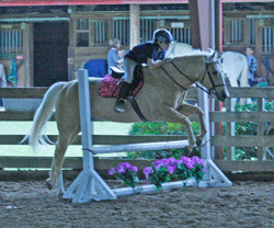 Barn Show